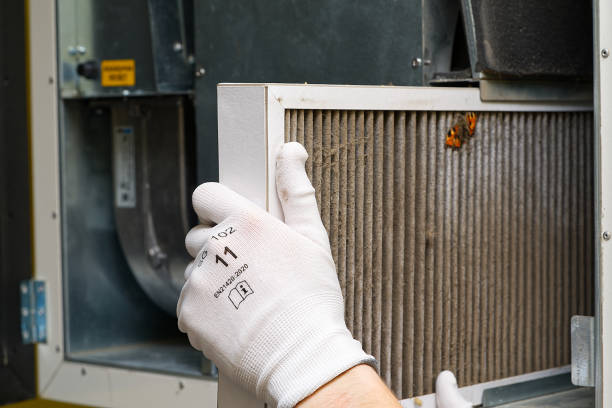Best Dryer Vent Cleaning Services  in Prairie Grove, AR
