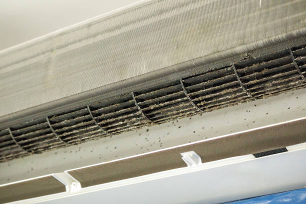 Best Residential Air Duct Cleaning  in Prairie Grove, AR